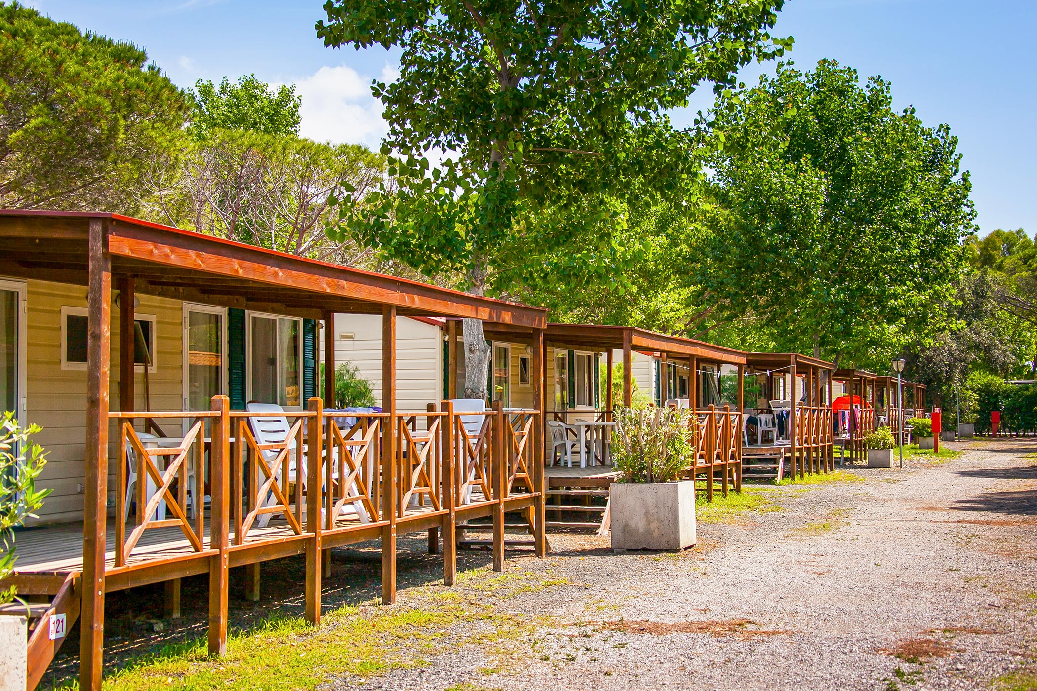 vorzelt wurfzelt HAUSPROFI Zelt 2-3 Perosonen Pop Up Zelt, Camping Zelt mit Fenster, Große Wasserdicht Automatisches Wurfzelt, Doppeltürlüftung, Moskitoschutz, 2 Schichten Kuppelzelt für Camping Familien Reise Sport & Freizeit Collection-SoF Camp Sale Choose Option:20 mm For Pedals with Wrench Flats 1-Pair Fahrrad Ankauf Osnabrück