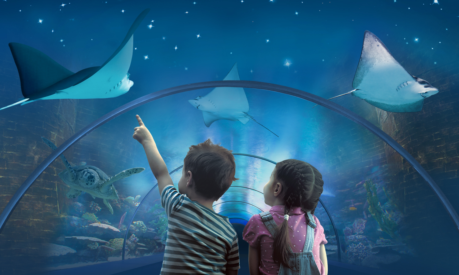 Acquario Di Livorno Il Piu Grande Acquario Della Toscana Acquario Di Livorno