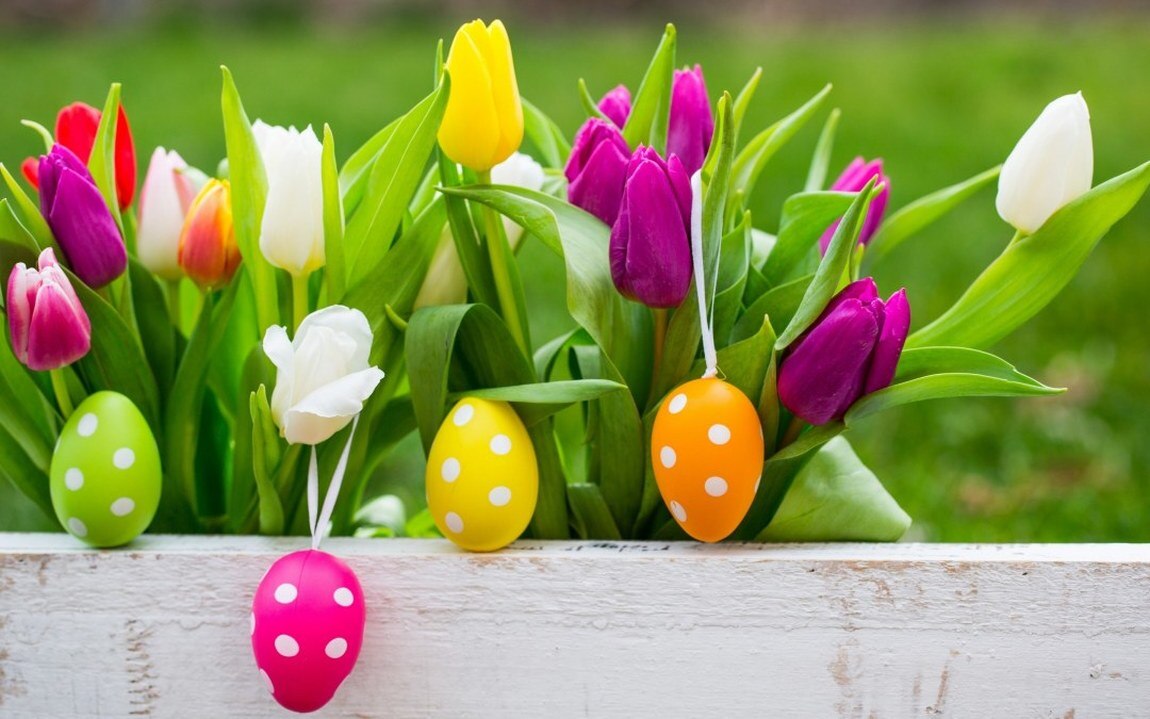 Offerte per Aprile 2025  e i ponti di Primavera con i bambini