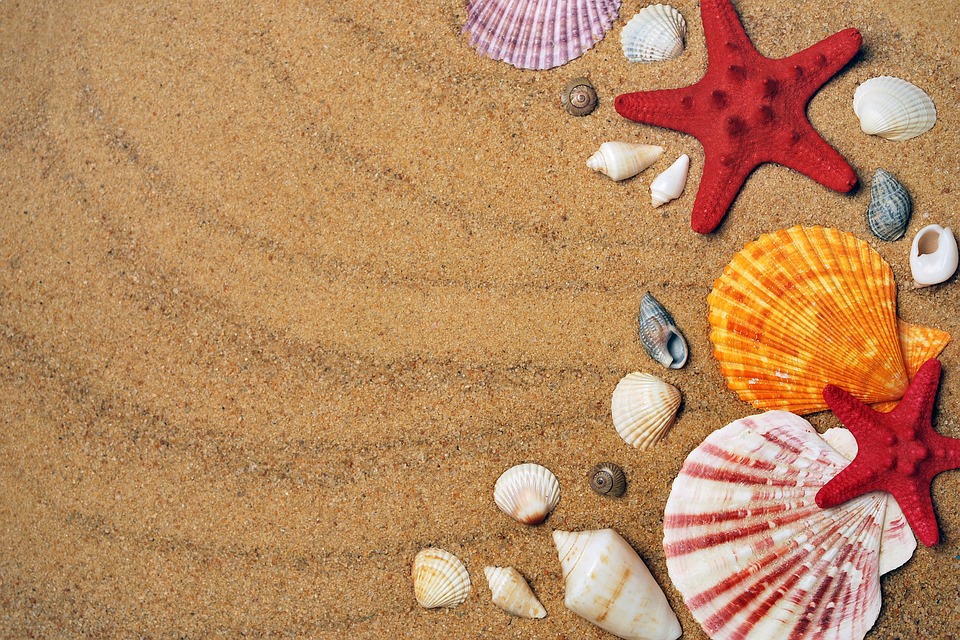 Offerte luglio 2025: la tua vacanze family